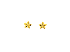 22k Gold Polished Yellow Finish Floral Stud Earrings with Cubic Zirconia