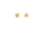 22k Gold Star Pendant and Earring Set with Cubic Zirconia