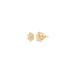 22K Two-Tone Gold Stud Earrings | Elegant Polished Tops